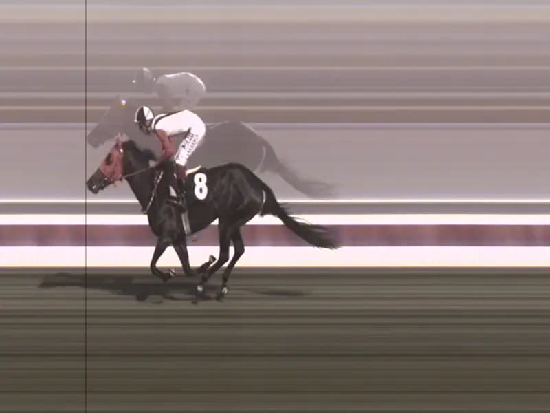 Mersin Aşevinde Şok Gelişme: At Eti Skandalı Ortaya Çıktı