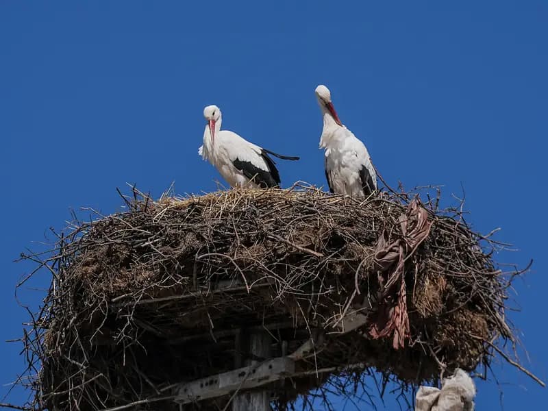 Yaren Leylek, Eşi Nazlı ile Bursa'da Mutlu Bir Buluşma Gerçekleştirdi