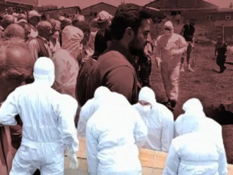 Kene Tehlikesi: Altı Şehirde Önlem Alınması Gerekiyor