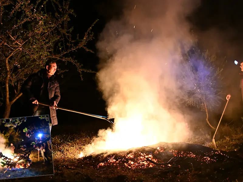 Türkiye'de 174 Noktada Sıfırın Altında Zirai Don Alarmı