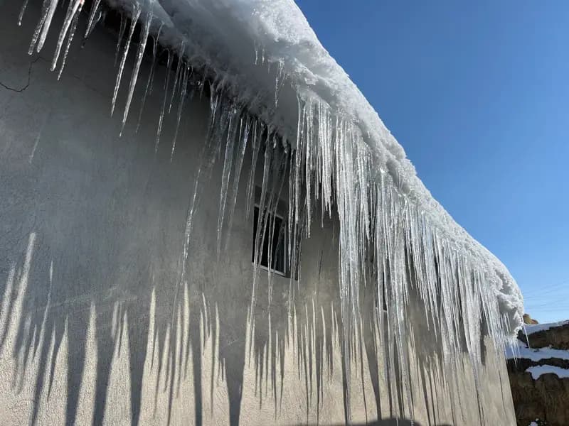 Kars'ta Bahar Umutları Eksi 15 Derecede Dondu